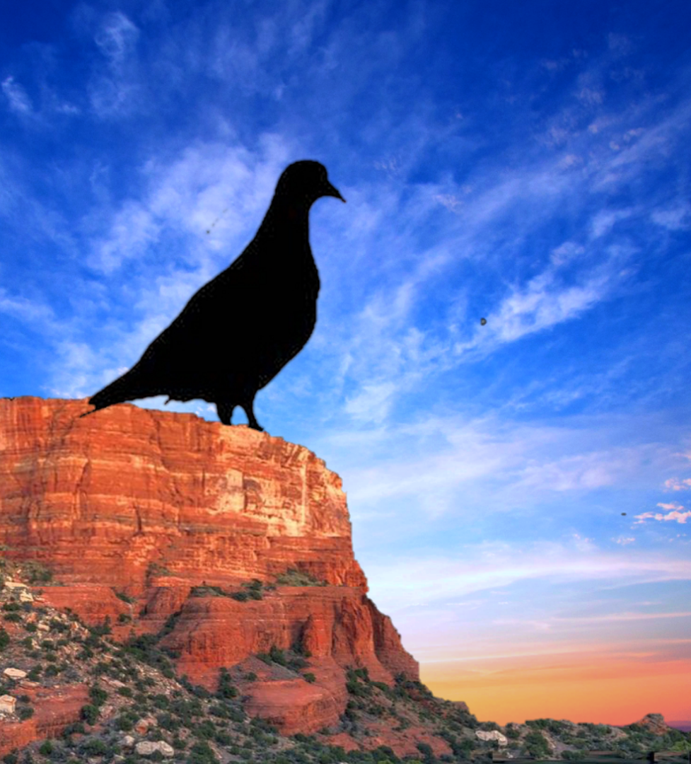 Silhouette on cliff image