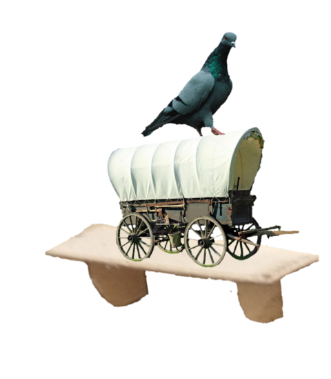 bird on a wagon on a shelf